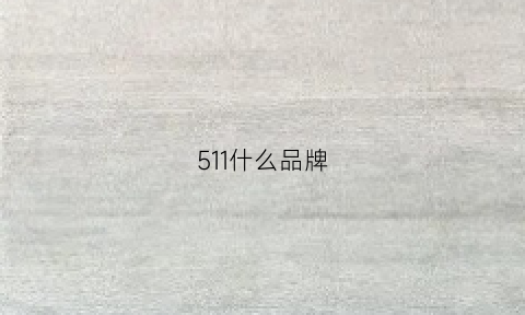 511什么品牌(511是哪国品牌)