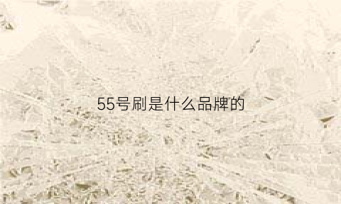 55号刷是什么品牌的(55号刷是哪个牌子的)