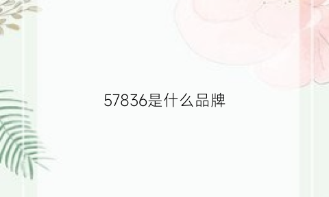 57836是什么品牌(5683是什么牌子)