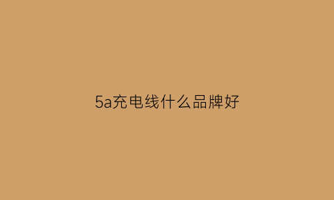 5a充电线什么品牌好