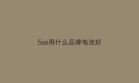 5se用什么品牌电池好(5se电池容量)