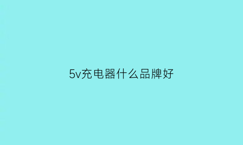 5v充电器什么品牌好(5v充电器什么品牌好用)