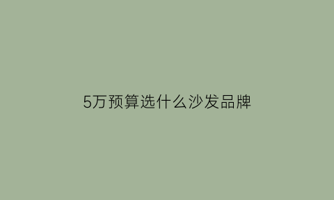 5万预算选什么沙发品牌(5万多的沙发)