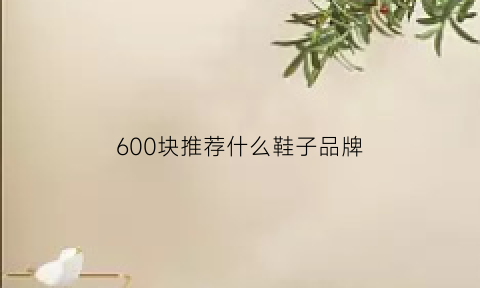 600块推荐什么鞋子品牌(600元以内好看的鞋子)