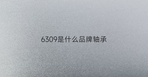 6309是什么品牌轴承(6306是什么轴承)