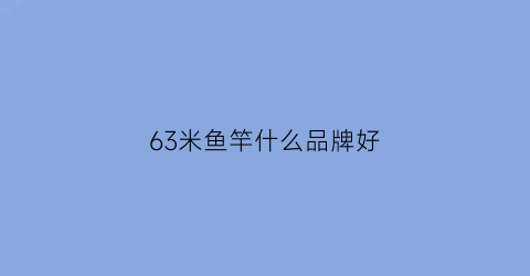 63米鱼竿什么品牌好(63米鱼竿什么品牌好一点)