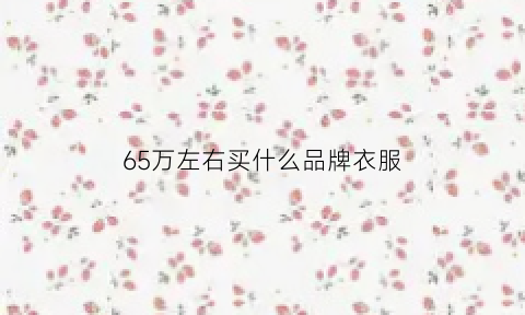 65万左右买什么品牌衣服(65万买什么suv车比较好)