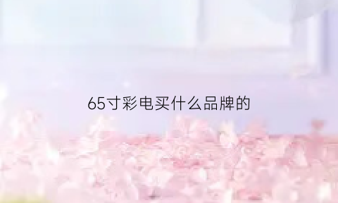 65寸彩电买什么品牌的