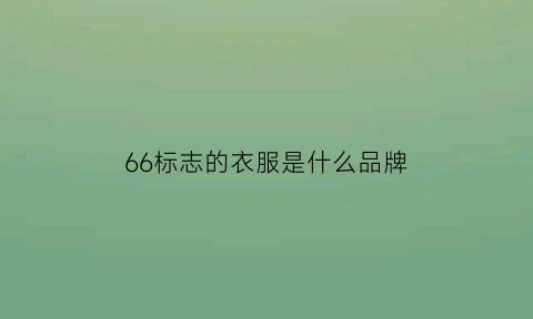 66标志的衣服是什么品牌(66的衣服是多大码)