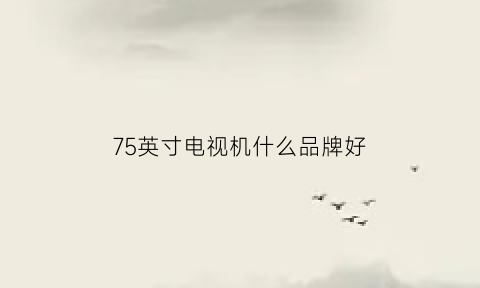 75英寸电视机什么品牌好(75英寸电视机什么品牌好一点)