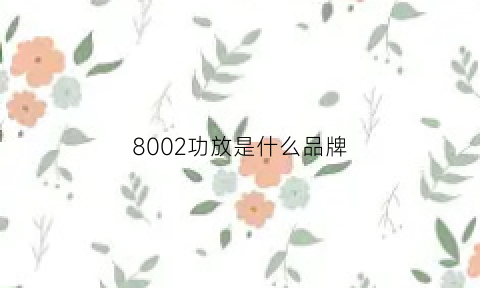 8002功放是什么品牌(8002a功放芯片参数)