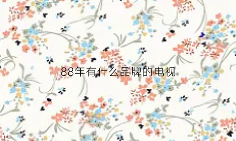 88年有什么品牌的电视(88年电视剧都有哪些)