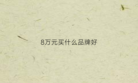 8万元买什么品牌好(8万元买什么品牌好点)