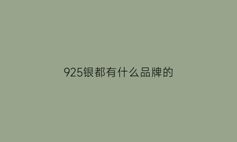 925银都有什么品牌的(925银什么档次)