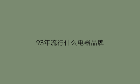 93年流行什么电器品牌(1993年电脑是什么样的)