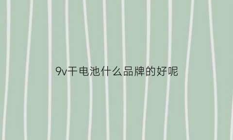 9v干电池什么品牌的好呢(9v电池什么地方用)