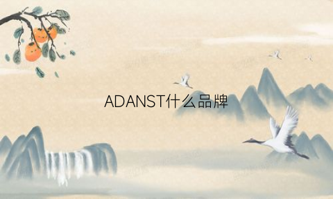 ADANST什么品牌(adadls是什么牌子)