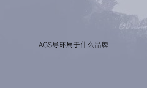 AGS导环属于什么品牌(sic导环是什么品牌)