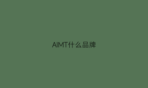 AIMT什么品牌(aimi是什么品牌)