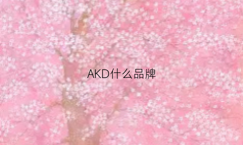 AKD什么品牌(ak品牌是什么档次)