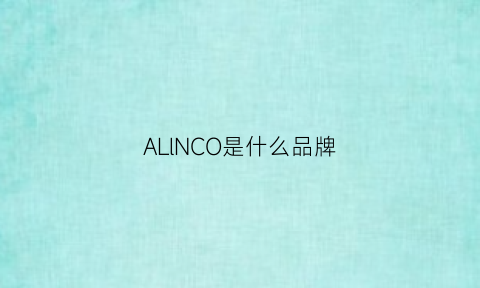 ALlNCO是什么品牌(allyone是什么品牌)