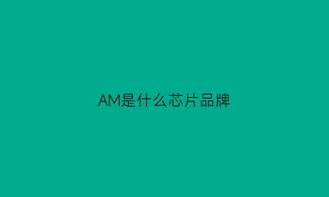 AM是什么芯片品牌(amp芯片是什么意思)