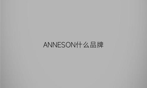 ANNESON什么品牌(anni是什么牌子)