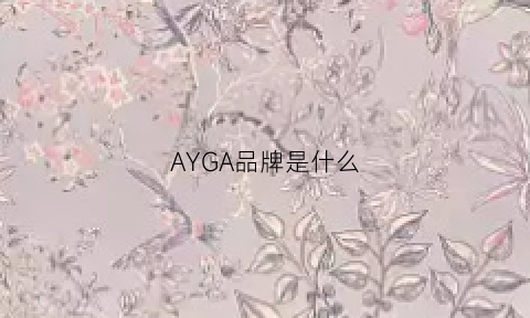 AYGA品牌是什么(ayga是什么牌子)