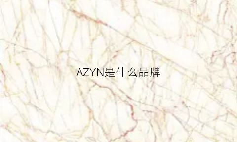 AZYN是什么品牌(aay是什么品牌)