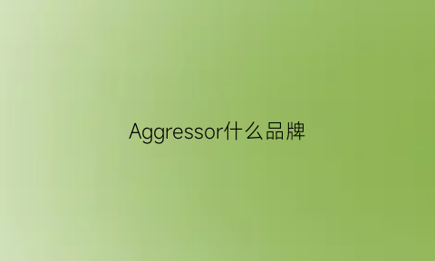 Aggressor什么品牌(agnese是什么牌子)