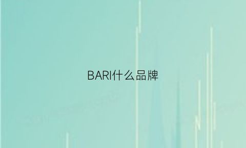 BARI什么品牌(barishidi是什么牌子)