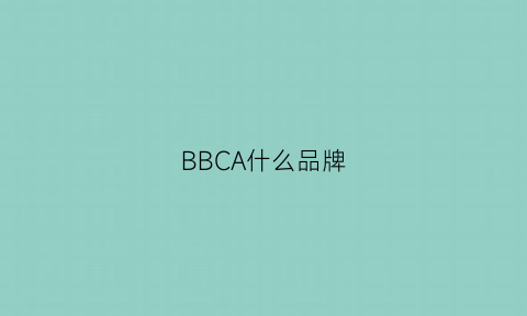 BBCA什么品牌(abchicbyab是什么牌子)