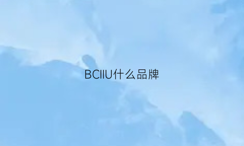 BCIIU什么品牌(bci品牌列表)