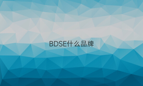 BDSE什么品牌