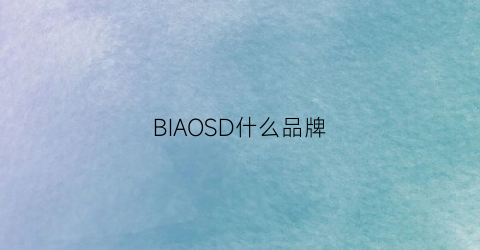 BIAOSD什么品牌(s是什么品牌)