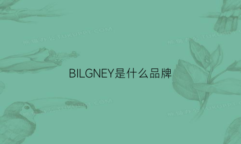 BILGNEY是什么品牌