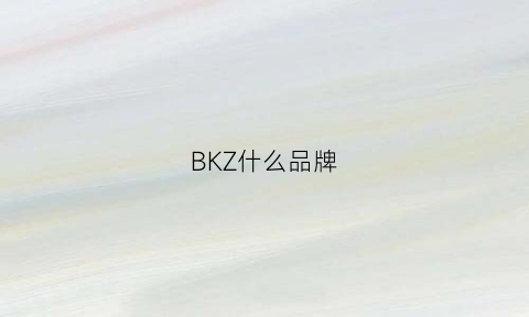 BKZ什么品牌(bk是哪個品牌)
