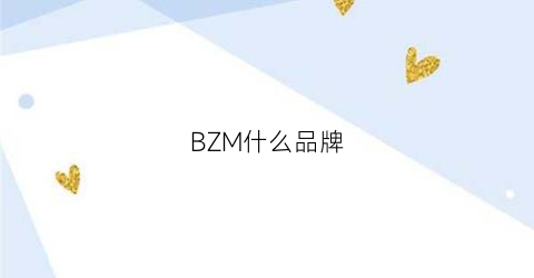 BZM什么品牌(bwz是什么品牌)