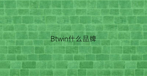 Btwin什么品牌