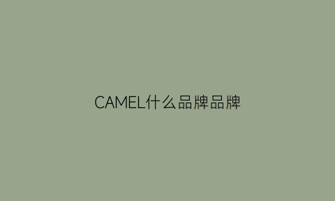 CAMEL什么品牌品牌(camel是中国品牌吗)