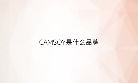 CAMSOY是什么品牌(camspoor是什么牌子)