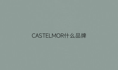 CASTELMOR什么品牌(cashmere是什么牌子多少钱)