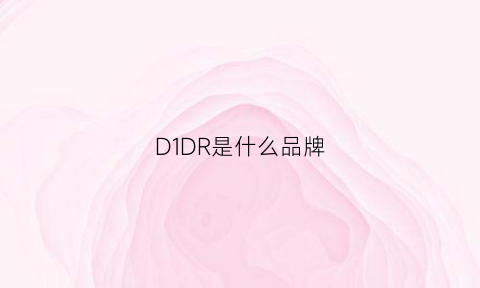 D1DR是什么品牌