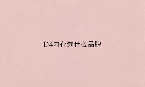 D4内存选什么品牌