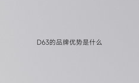 D63的品牌优势是什么(d63跟哪个品牌是一家)