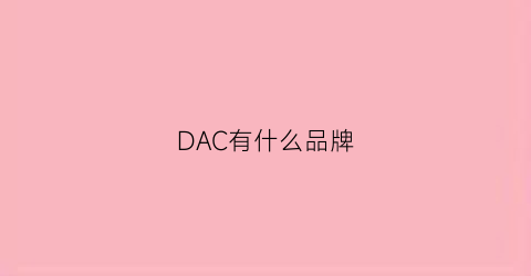 DAC有什么品牌(哪个牌子的dac性价比最高)