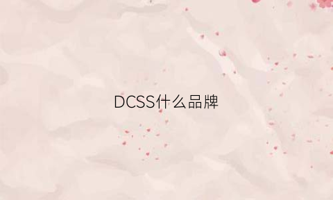 DCSS什么品牌