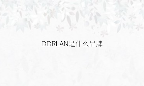 DDRLAN是什么品牌