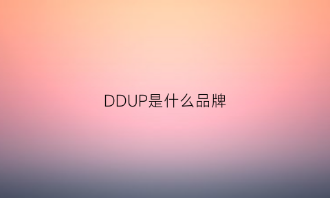 DDUP是什么品牌