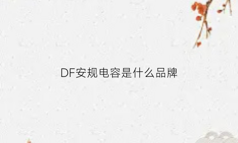 DF安规电容是什么品牌